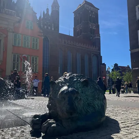 Let's - Coral Daire *