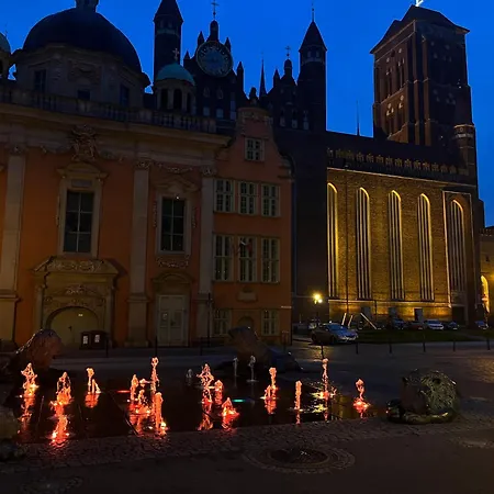 Let's - Coral Gdańsk