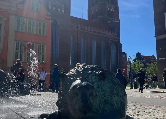 Let's - Coral Daire *